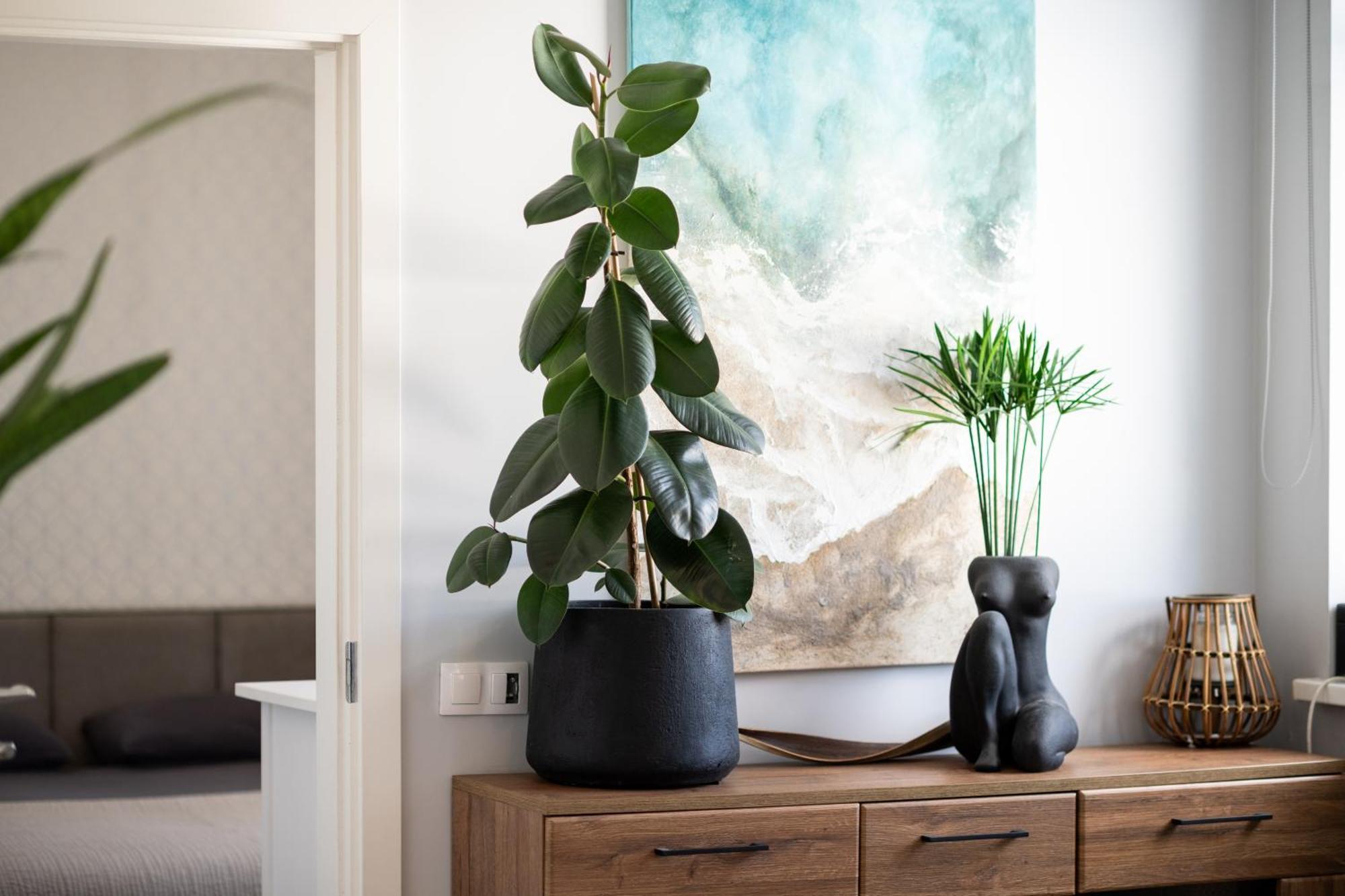 Old Town Apartment Klaipeda Free Parking ภายนอก รูปภาพ